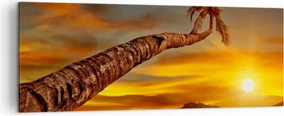 Produktbild von Bild auf Leinwand - Leinwandbild - Palme Landschaft Sonne - 140x50cm - Wand Bild - Wanddeko - Leinwanddruck - Bilder - Kunstdruck - Wanddekoration - Leinwand bilder - Wandkunst - AB140x50-0162