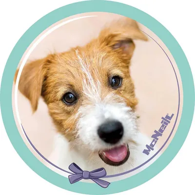 Produktbild von McNeill Schulranzen-Zubehör McAddy Hund Grün mehrfarbig