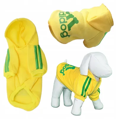 Produktbild von DKM Trainingsjacke für Hunde und Katzen Gelb L