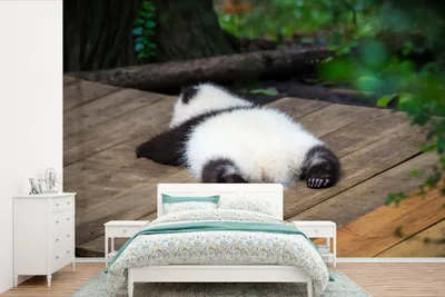 Produktbild von MuchoWow® Fototapete für Wohnzimmer oder Schlafzimmer Wandtapete Vinyl Motivtapete Tier - Panda - Schlafend - 390x260 cm - Papiertapete