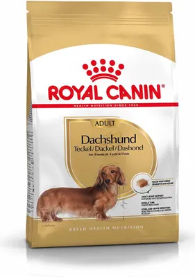 Image de Royal Canin Dachshund Adult 1,5kg