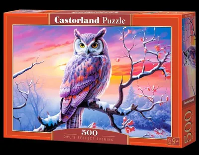 Image de Puzzle 500 pièces La soirée parfaite du hibou 054022 Castorland