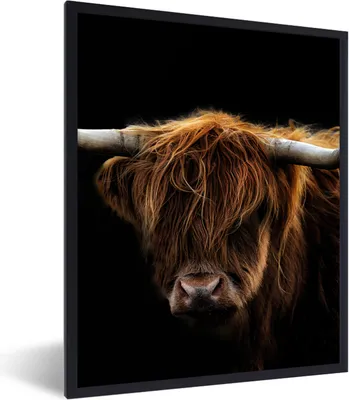Produktbild von MuchoWow® Gerahmtes Poster Schottischer Highlander - Hörner - Schwarz - Tiere - Natur - Wild - Kuh 60x80 cm - Poster mit Schwarzem Bilderrahmen Wandposter Rahmen Foto Bilder - Premium - Wanddeko Wohnzimmer