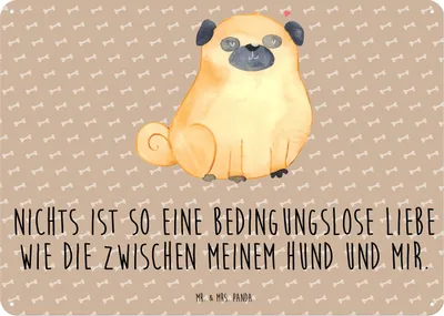 Produktbild von Mr. & Mrs. Panda Schild Mops DIN A5 - Hundeglück - Geschenk, Liebe, Türschild, Knuffig, Hund, Sprüche, Blechschild, Pure, tafel, Wandbild, Magnetschild