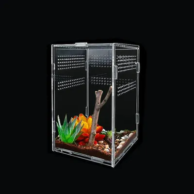Acryl Reptilienbox 25x15x15 cm mit Belüftung