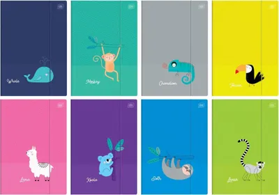 Produktbild von 10x Interdruk Sammelmappe mit Gummiband A4+ BeBe Kids Tropic