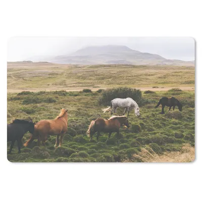 Produktbild von MuchoWow® Schreibtischunterlage Pferde - Island - Braun 60x40 cm - XXL Mauspad - Großes Mauspad