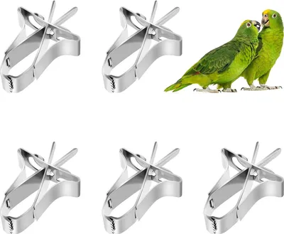 Produktbild von Papageien Obst Gemüse Feeder Clip 5 Stück Vögel Futterhalter Feeder Gerät Vogelkäfig Zubehör Metall Clips für Sittiche Wellensittiche Nymphensittiche