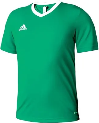 Produktbild von adidas Entrada 22 Trikot 176 TEAGRN/WHITE