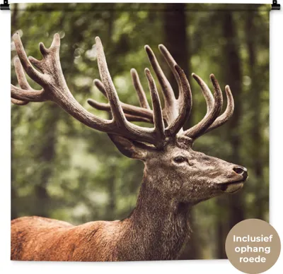 Produktbild von MuchoWow® Wandteppich Wandbehang Hirsch - Natur - Geweih - Wald - Tiere 90x90 cm Tapisserie Dekoration Wandtuch - Wandaufhänger