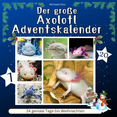 Obrázek produktu pro Adventní kalendář s axolotly: 24 skvělých dní do Vánoc