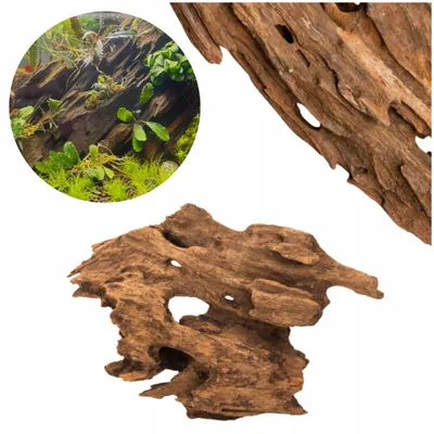 Zdjęcie produktu dla Korzeń akwariowy Dragon Wood Naturalne drewno 10-15 cm XS