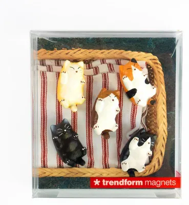 Productafbeelding van Trendform Magneten Kitty - Set van 5 stuks