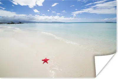 Produktbild von MuchoWow® Poster Seestern - Rot - Sand 180x120 cm - Fotoplakat