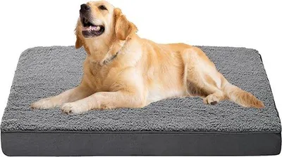 Image de Coussin orthopédique pour chien, gris moyen, avec mousse à mémoire de forme et housse amovible lavable