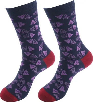 Produktbild von 2 Paar Socken Freizeitsocken aus Baumwolle 40-44