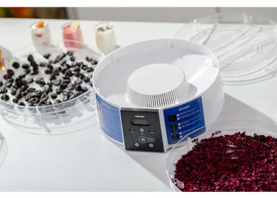 Obrázok produktu pre Zelmer ZFD1005 food dehydrator Transparent 520 W