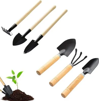 Image de Petit ensemble d'outils de jardinage avec manche en bois, idéal pour les bonsaïs et les plantes d'intérieur
