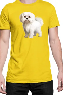 Immagine prodotto di Maglietta da uomo Dogs Breeds Maltese Dog Breed 005, Man S , Jaune