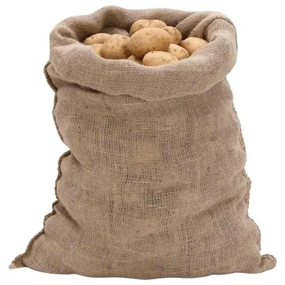 Obrázok produktu pre vidaXL Jutové vrecia 30 ks 60x105 cm 100% juta 220 g/m²
