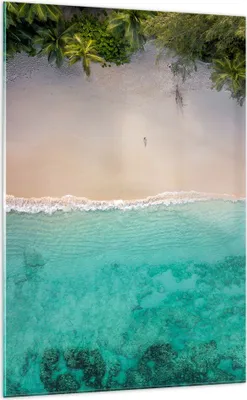 Produktbild von Bilder auf glas - Einteilig - Strand Tropen Rand - 70x100cm - Glasbilder - Wandbilder - Bilder - zum Aufhängen bereit - Wanddekoration aus Glas - Glas Bilder - Wandbild auf Glas - GPA70x100-5000