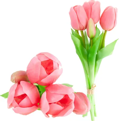 Obrázok produktu pre Tulipány Gummed, kytica, 5 ks, ružové