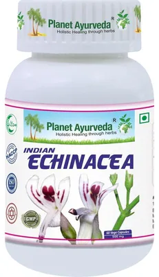 Obrázok produktu pre Indická Echinacea Kapsuly - Imunita - 500mg 60 kapsúl