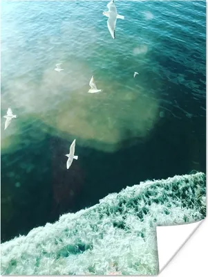 Produktbild von MuchoWow® Poster Vogel - Wasser - Berg 120x160 cm - Wandbilder