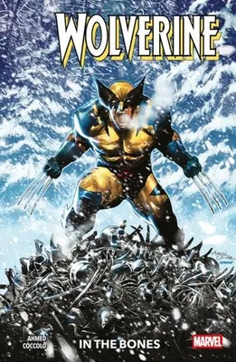 Image de Wolverine Vol. 1