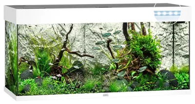 Productafbeelding van Juwel Rio 180 LED | 180L | 101 x 41 x 50CM Wit