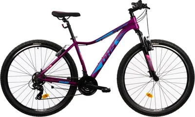 Immagine prodotto di DHS Terrana 2922 29" 21 scomparti 2022 Mountain bike donna / Alluminio 420 mm Viola