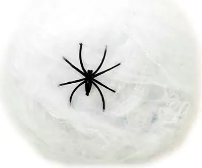 Produktbild von Mom Spinnennetz 20g Durchsichtig Durchsichtig One Size