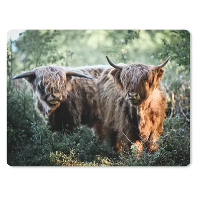 Produktbild von MuchoWow® Mauspad Mousepad Schottische Highlander - Wald - Tiere 23x19 cm - Mousepads - Maus Mat - Pad - Mausunterlage - Schreibtischunterlage - Mauspad