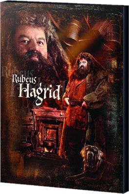 Harry Potter - Leinwanddruck, "Hagrid" PM3345 (40 cm x 30 cm) (Braun)