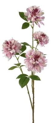 Immagine prodotto di Camelia, 69,5 cm, lilla, KSD