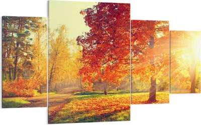 Produktbild von Bild auf Leinwand - Leinwandbild - Park Herbst Baum - 160x90cm - Wand Bild - Wanddeko - Wandbilder - Leinwanddruck - Bilder - Kunstdruck - Wanddekoration - Leinwand bilder - Wandkunst - DL160x90-3654
