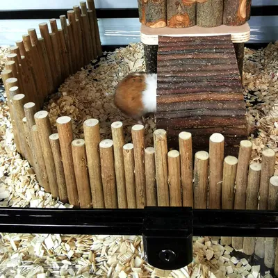Produktbild von Holzzaun - Rattenleiter - Brückenspielzeug - Haustierkäfig - Holzleiter - Natürlicher Unterschlupf - Holzversteck - Kleintierunterkunft (30 cm)