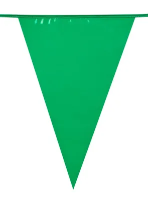 Immagine prodotto di Ghirlanda per feste verde 10m - taglia unica