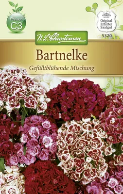 Produktbild von Bartnelken Gefülltblühende Mischung | Nelkensamen von N.L. Chrestensen