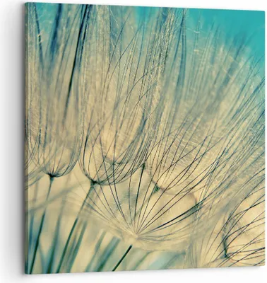 Produktbild von Bild auf Leinwand - Leinwandbild - Einteilig - Löwenzahn Makro Löwenzahn - 60x60cm - Wand Bild - Wanddeko - Wandbilder - Leinwanddruck - Bilder - Wanddekoration - Leinwand bilder - AC60x60-4846
