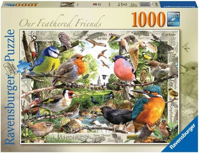 Image de Ravensburger 120003281 Nos amis à plumes
