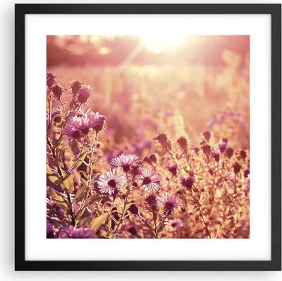 Produktbild von Gerahmtes Poster - Schwarzer Rahmen - Wiese Blumen Sonne - 40x40 cm - Wand Bild - Wanddeko - Wandbilder - Kunstposter - Wandposter - Bilderrahmen - Bilder - Kunstdruck - P2BAC40x40-4819