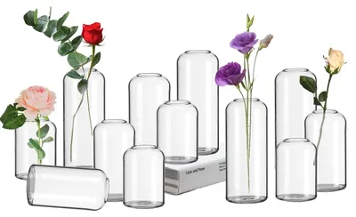 Produktbild von Solidchoice – Set mit 12 Glasvasen für Blumen
