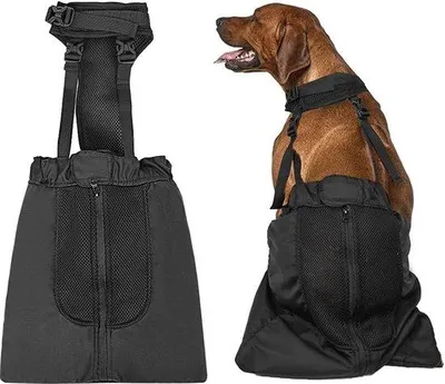 Produktbild von Famanu Hundehose für gehandicapte Hunde - Unterstützung bei gelähmten Hinterbeinen
