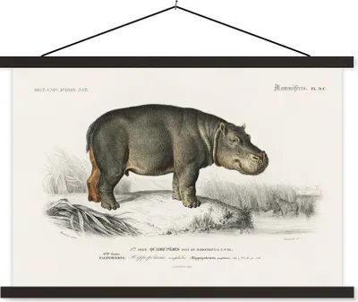 Produktbild von MuchoWow® Textilposter Nilpferd - Vintage - Landschaft 90x60 cm mit schwarzem Rahmen - Aufhängungssatz