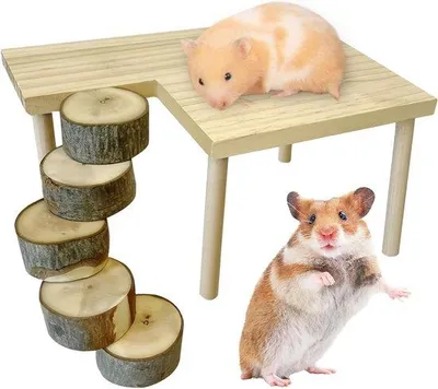 Produktbild von Holzklettergerät für Hamster und Gerbil, runde Leiter