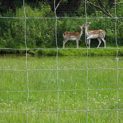 Produktbild von Betafence Schweres Ursus Bezinal 120/7/15 50 m, 3,7/3,0mm