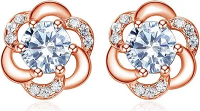 Produktbild von Josfeva Silber Ohrstecker Damen Blumen Ohrringe 925 Zirkonia Geschenkbox