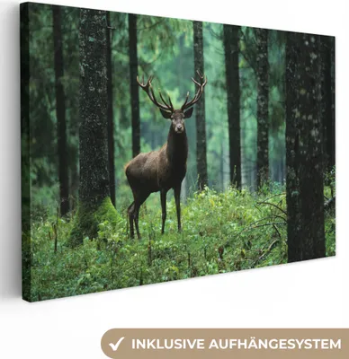 Produktbild von MuchoWow® - Leinwandbilder - Hirsche - Wald - Bäume - Tiere - Natur, Wandbild, Wanddeko Bilder Wohnzimmer, 120x80cm