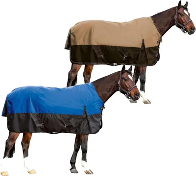 Productafbeelding van Paardendeken - Paardendekens - Paard Beschermen - Waterdicht Ademend - 145 cm - Blauw Zwart